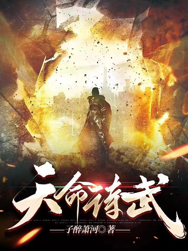 天命诗小说